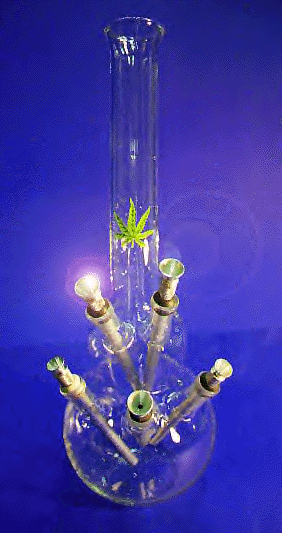 cbong2.GIF (282x533, 83Kb)