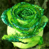756464_382377.gif (99x100, 26Kb)