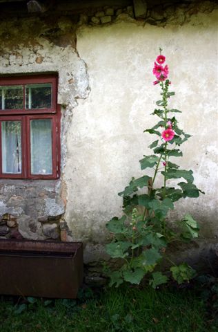 430_3016.jpg (316x480, 31Kb)