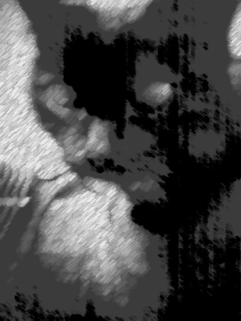 bagira.JPG (480x640, 55Kb)