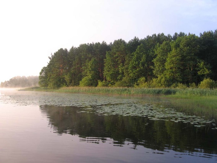 yanovo.jpg (699x524, 102Kb)