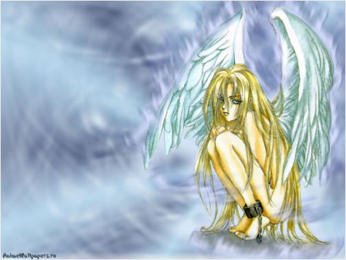 90548_030.jpg (502x377, 29Kb)