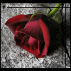 2305128.. (1).gif (100x100, 13Kb)