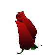 розы.gif (110x114, 34Kb)