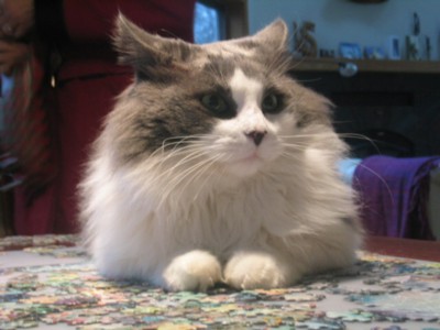 winston[1].jpg (400x300, 29Kb)
