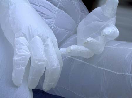 10_Streicher_hands.jpg (450x336, 11Kb)