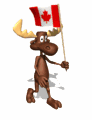 Moose_flag.gif (92x120, 30Kb)