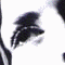 676580_103877.gif (60x60, 78Kb)