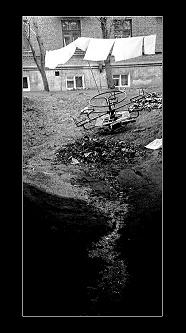 .JPG (186x333, 13Kb)