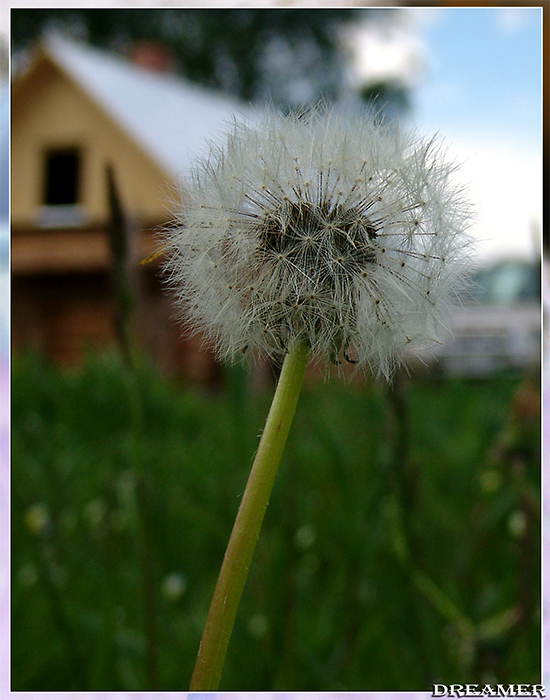 .jpg (550x700, 305Kb)