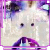 purple.gif (100x100, 8Kb)