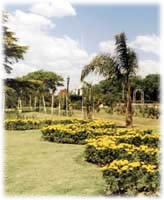 parque.jpg (164x200, 8Kb)