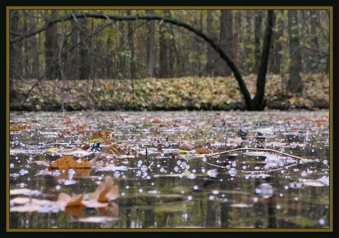 694784_584010_V_unuyni_osen_est_gorkaya_otrada.jpg (700x491, 65Kb)