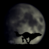 .gif (100x100, 15Kb)