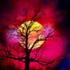 nature%20(14).jpg (100x100, 21Kb)