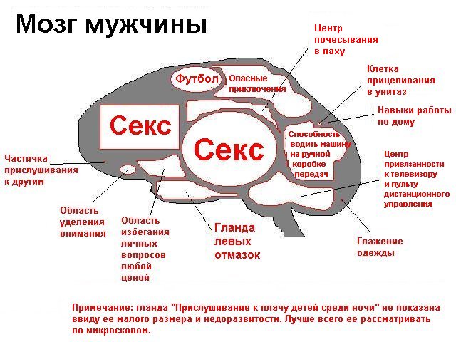  .jpg (640x480, 74Kb)