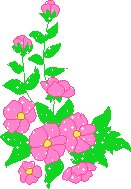 611323_353610_flowerscw.gif (131x189, 5Kb)