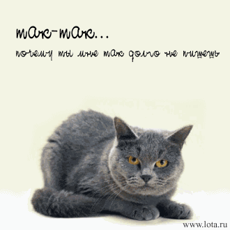  .gif (330x330, 33Kb)
