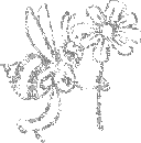 732728_217203_2702998[1].gif (128x130, 2Kb)