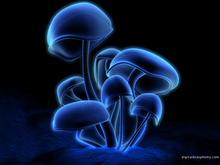 fluorescence6.jpg (700x525, 73Kb)