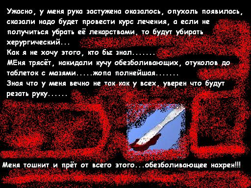 .JPG (512x384, 84Kb)
