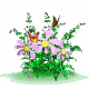 b3.gif (80x80, 8Kb)
