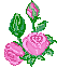 2093893.jpg (53x75, 3Kb)