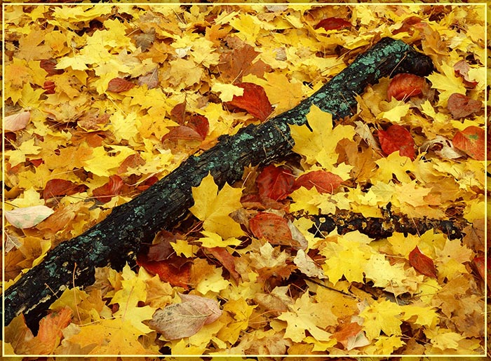 .jpg (700x515, 140Kb)