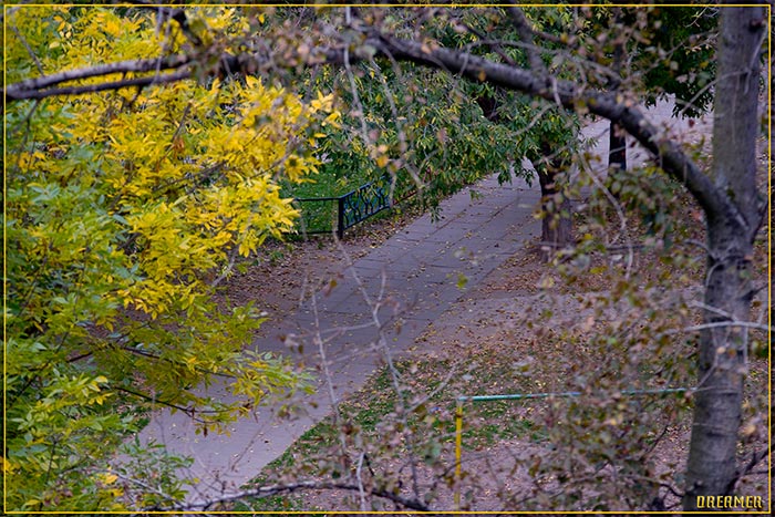 .jpg (700x467, 118Kb)