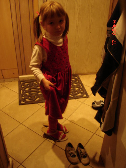 DSC03096.JPG (480x640, 60Kb)