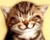 Smiley.jpg (101x80, 2Kb)