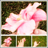 1.gif (100x100, 10Kb)