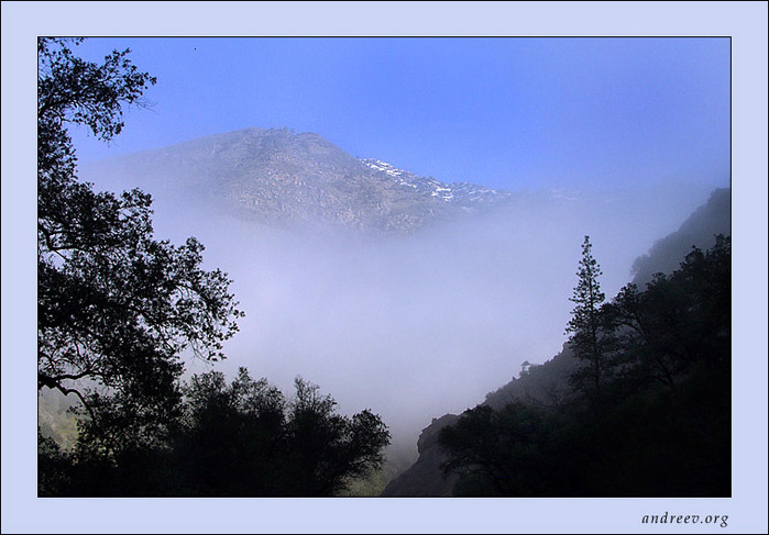 56309.jpg (699x487, 109Kb)