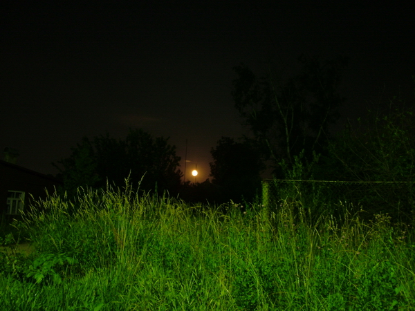 DSCF4915.jpg (600x450, 257Kb)