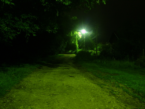 DSCF4829.jpg (600x450, 250Kb)