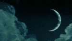 1.gif (150x86, 155Kb)