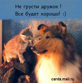 http://www.liveinternet.ru/images/attach/2109/2109187.jpg
